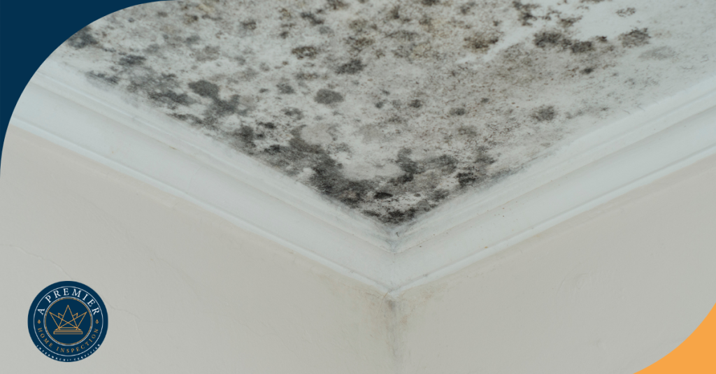 Black mold growth on a ceiling corner due to excess moisture and poor ventilation.