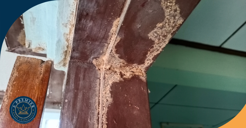 Termite mud tubes and wood damage on interior doorway found during inspection.