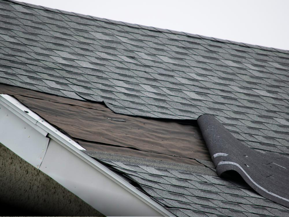 Missing shingles and underlayment exposed on residential roof.