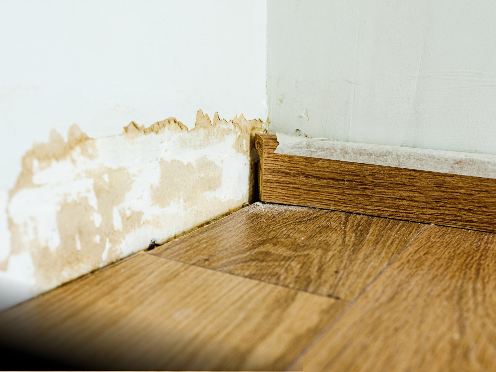 Water damage along a wall baseboard.